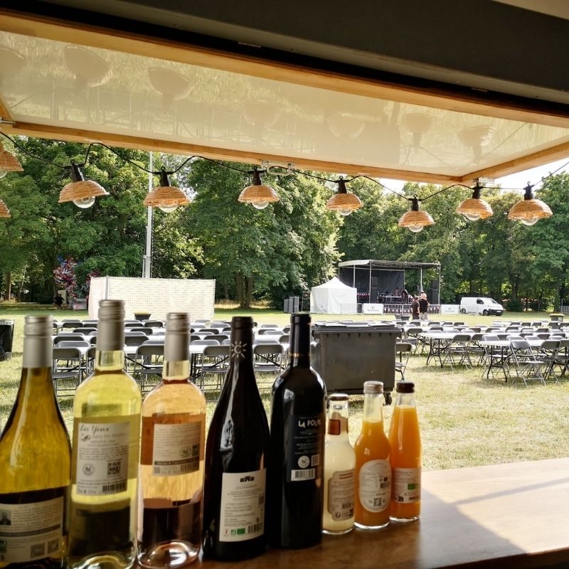 bar-vin-festival-fete-ville-95